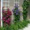 Cheap front yard landscaping ideas that will inspire 20
