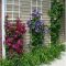 Easy and low maintenance front yard landscaping ideas 10