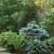 Easy and low maintenance front yard landscaping ideas 25