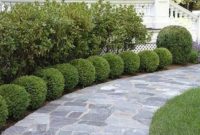 Easy and low maintenance front yard landscaping ideas 45