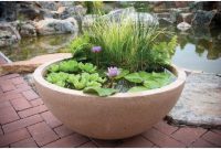 Rsimple rock garden decor ideas for front and back yard 06