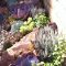 Rsimple rock garden decor ideas for front and back yard 20