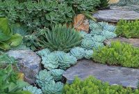 Rsimple rock garden decor ideas for front and back yard 25