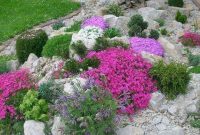 Rsimple rock garden decor ideas for front and back yard 33