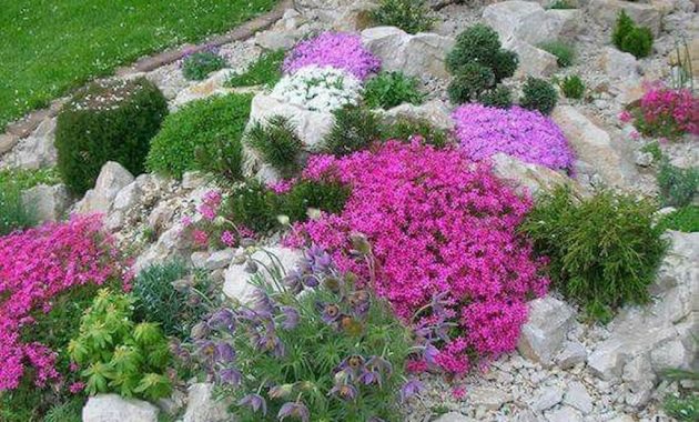 47 Simple Rock Garden Decor Ideas For Front And Back Yard - ZYHOMY