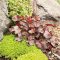 Rsimple rock garden decor ideas for front and back yard 40