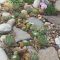Rsimple rock garden decor ideas for front and back yard 44