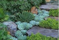 Awesome succulent garden ideas for 2018 08