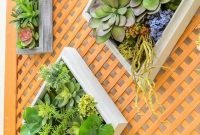Awesome succulent garden ideas for 2018 10