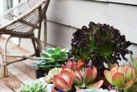 Awesome succulent garden ideas for 2018 13