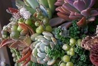 Awesome succulent garden ideas for 2018 19