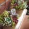 Awesome succulent garden ideas for 2018 21