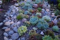 Awesome succulent garden ideas for 2018 22