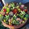 Awesome succulent garden ideas for 2018 25