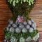 Awesome succulent garden ideas for 2018 26