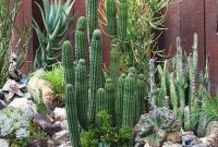 Awesome succulent garden ideas for 2018 28