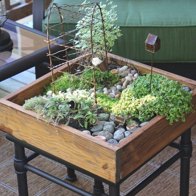 Awesome Succulent Garden Ideas For