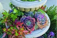 Awesome succulent garden ideas for 2018 31