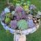 Awesome succulent garden ideas for 2018 36