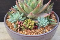 Awesome succulent garden ideas for 2018 37