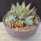 Awesome succulent garden ideas for 2018 37