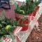 Awesome christmas decor for outdoor ideas 15