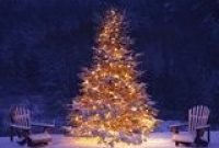 Easy christmas tree decor with lighting ideas 25