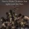 Easy christmas tree decor with lighting ideas 31