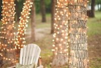 Elegant christmas lights decor for backyard ideas 02