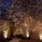 Extraordinary outdoor light christmas ideas 16
