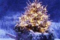 Extraordinary outdoor light christmas ideas 36
