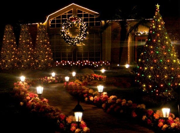 Extraordinary Outdoor Light Christmas Ideas 41