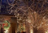 Marvelous outdoor lights ideas for christmas decorations 10