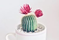 Wonderful cactus centerpieces ideas32