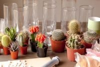 Wonderful cactus centerpieces ideas33