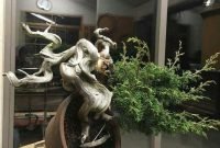 Brilliant bonsai plant design ideas for garden01