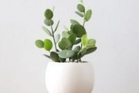 Brilliant bonsai plant design ideas for garden19