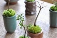 Brilliant bonsai plant design ideas for garden27