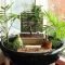 Brilliant bonsai plant design ideas for garden28