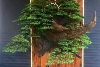 Brilliant bonsai plant design ideas for garden35
