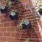Brilliant bonsai plant design ideas for garden36