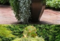 Brilliant bonsai plant design ideas for garden39