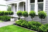 Minimalist front yard landscaping ideas on a budget02