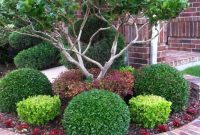 Minimalist front yard landscaping ideas on a budget08