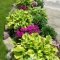 Minimalist front yard landscaping ideas on a budget11