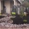 Minimalist front yard landscaping ideas on a budget22