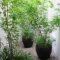 Minimalist japanese garden ideas22