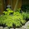 Minimalist japanese garden ideas40