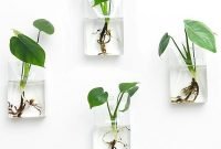 Simple wall plants decorating ideas01