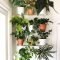 Simple wall plants decorating ideas11